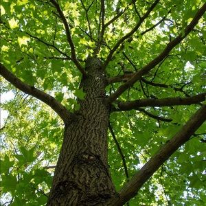 Meet your Posher, Paige